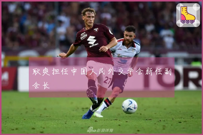 耿爽担任中国人民外交学会新任副会长